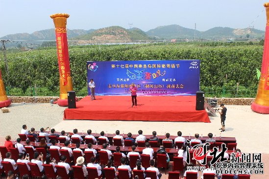 第十七屆中國秦皇島國際葡萄酒節(jié)啟?。▓D）